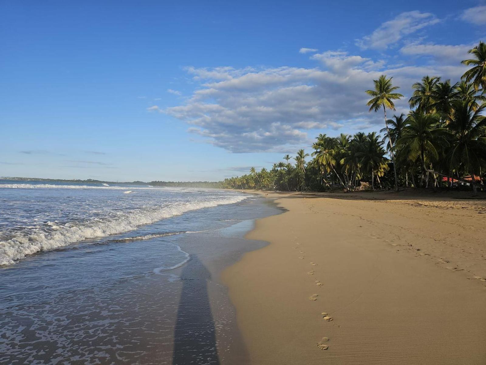 Hotel Casa Coson Las Terrenas Ngoại thất bức ảnh
